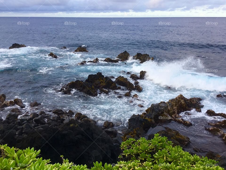 Waves along the sea cliffs