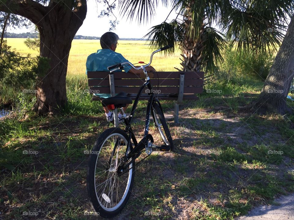 Sitting by the Marsh