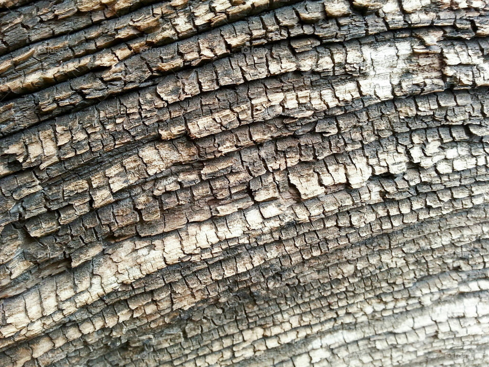 Abstract background of eroded wood
