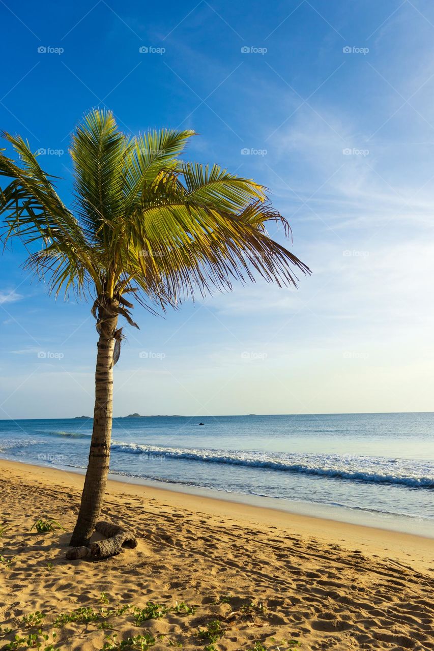 Beautiful morning on a perfect beach in the eastern coast of tropical miracle Sri Lanka. Perfect summer weather for a swim in clean, clear and warm water. Perfect vacation. Calm and relaxing time.