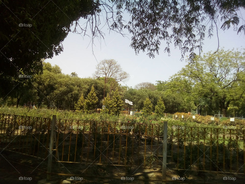 siddharth garden