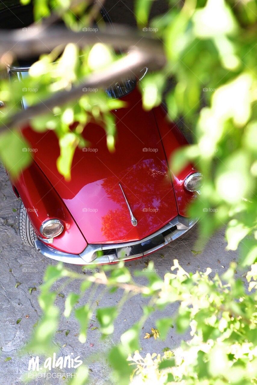 Vintage french citroen sedan