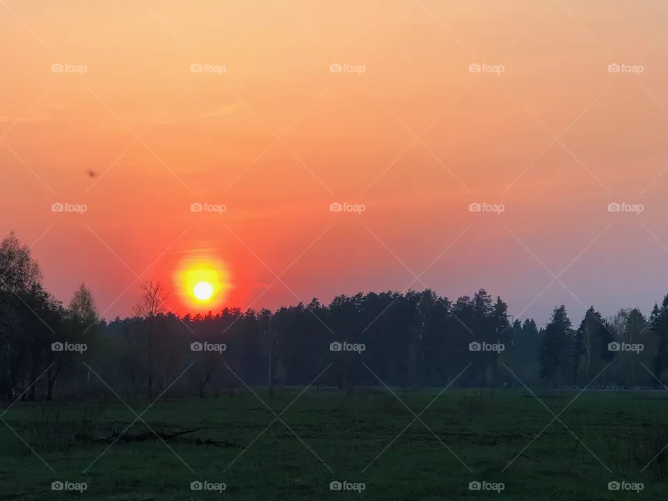 Sunset
