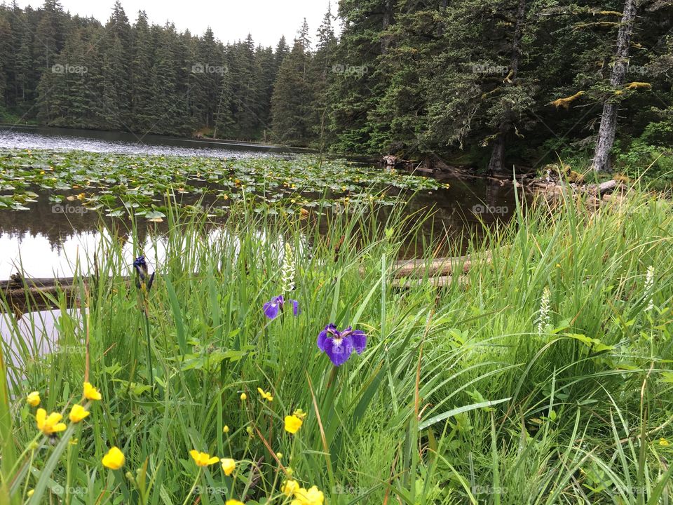 Abercrombie State Park