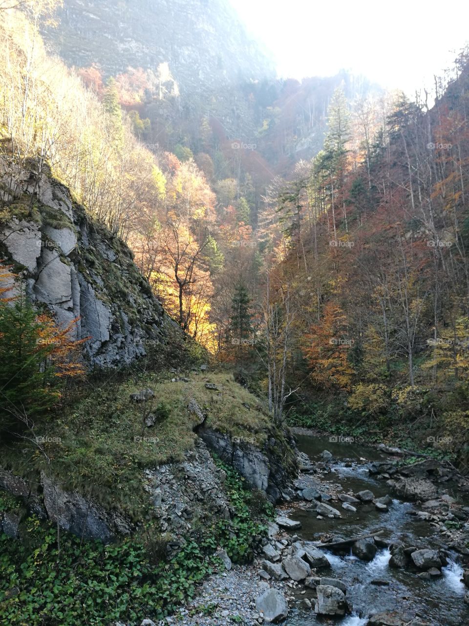 #Lepșa #Vrancea #Romania #Mountain #Autumn