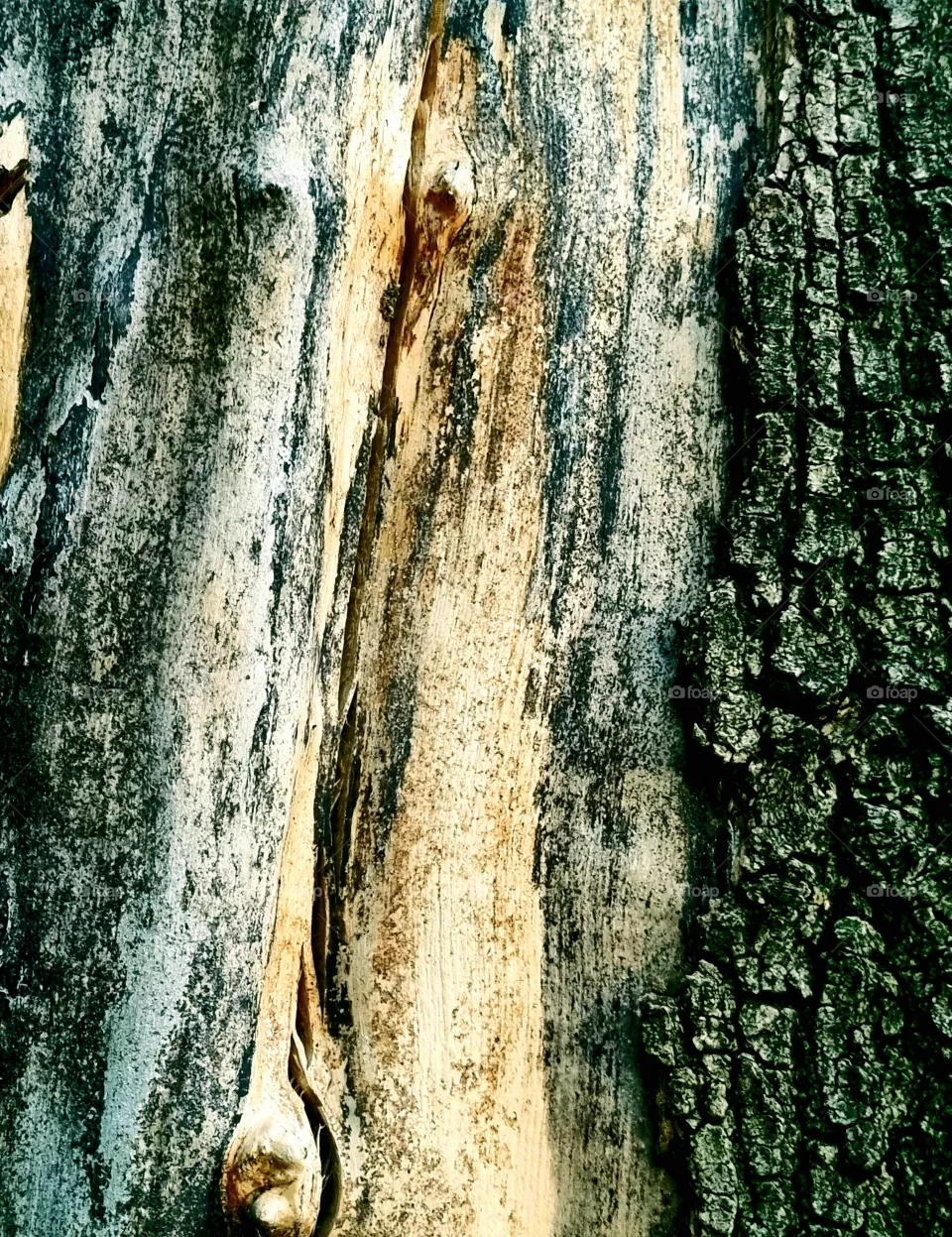 texture