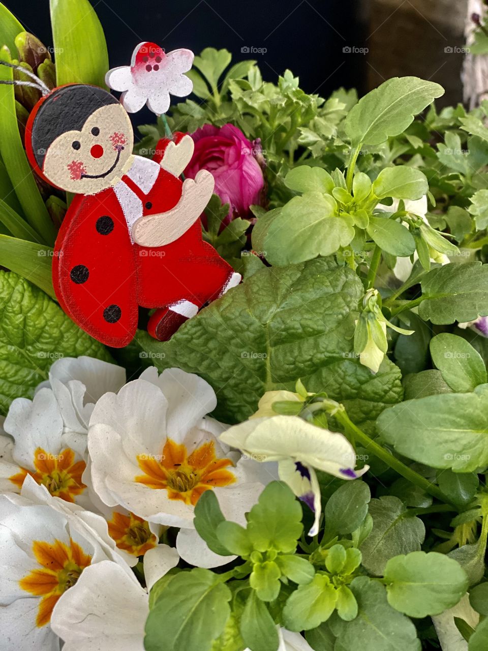 ladybug in flowers, decoration in flowers