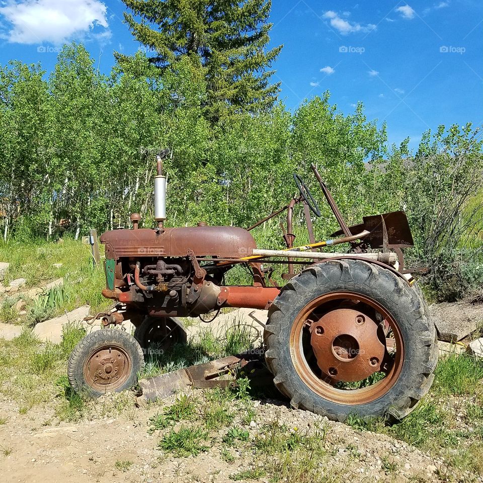 Grandpa's  Old Farmall Tractor
