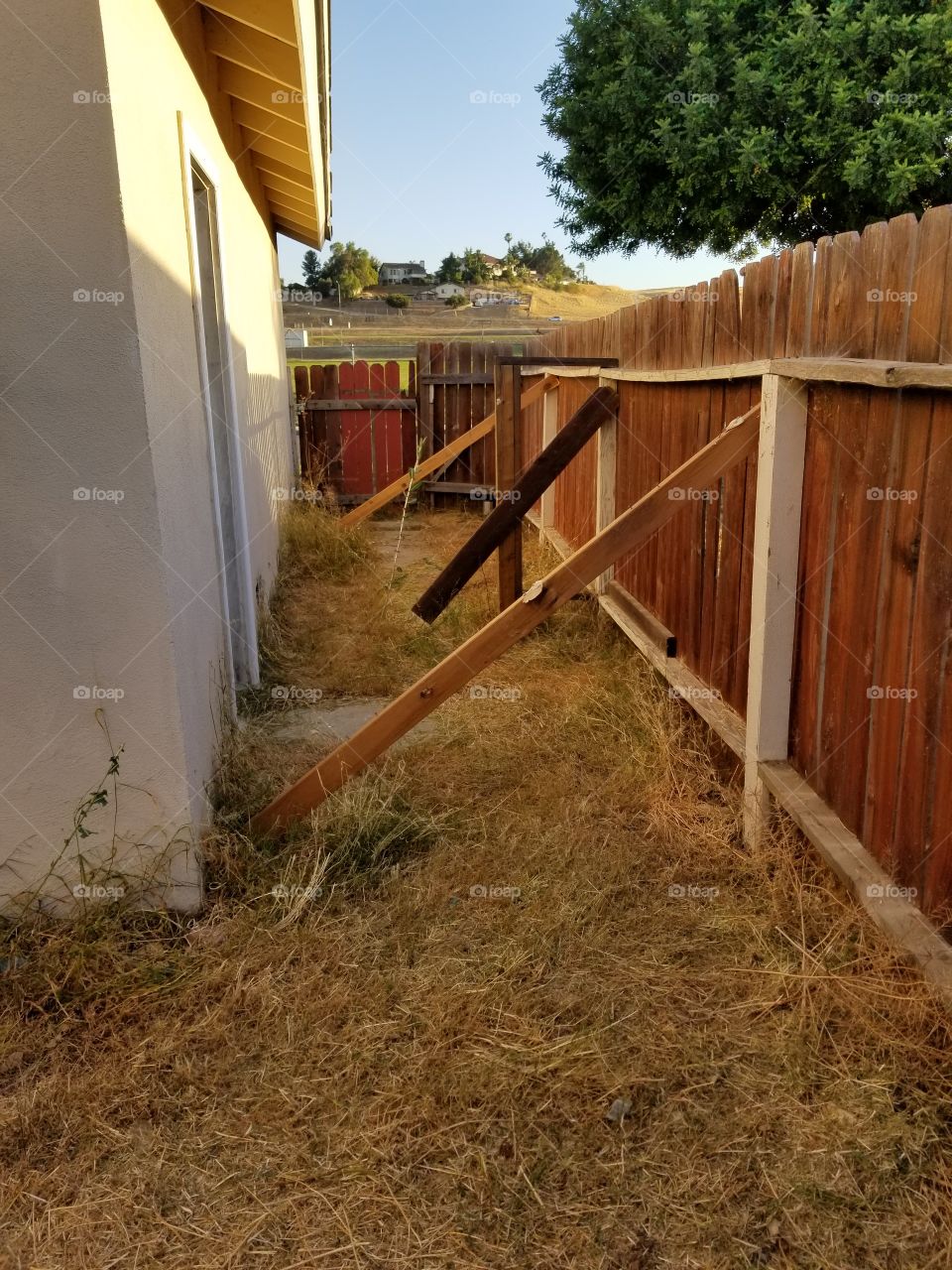 wood fence