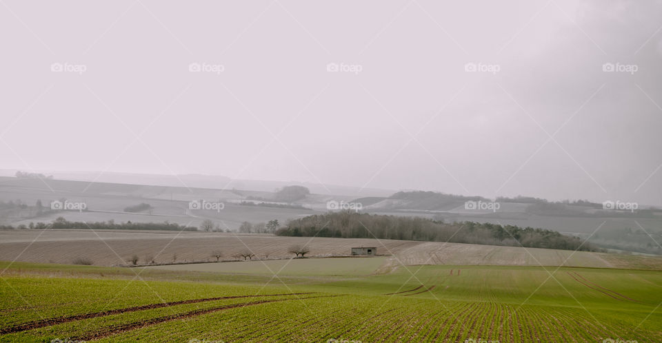 Paysage de l'Yonne