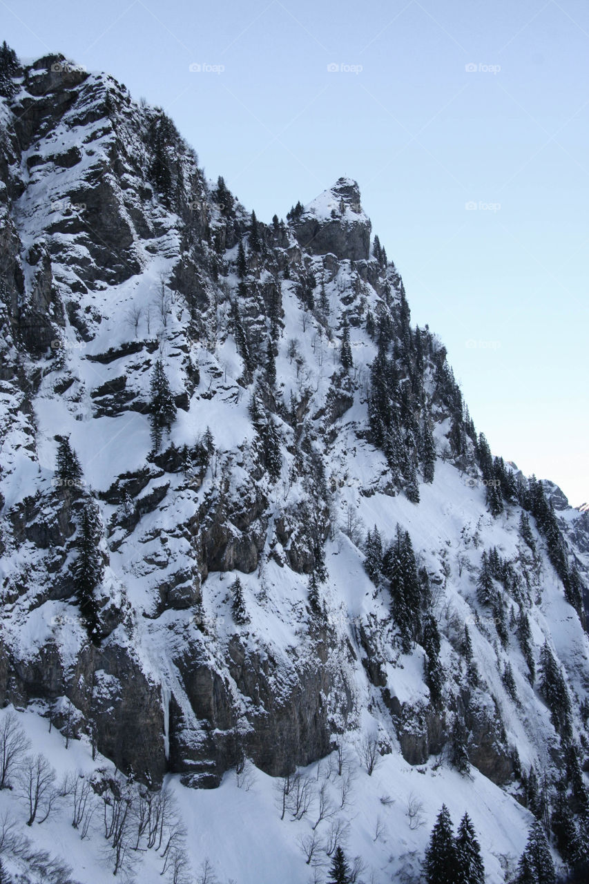Switzerland snowy alps with a beautiful dark contrast of dark trees and a black mountain rocky landscape. 