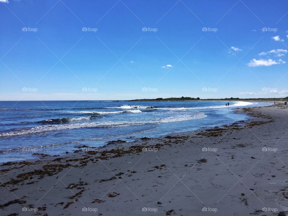 Maine landscape