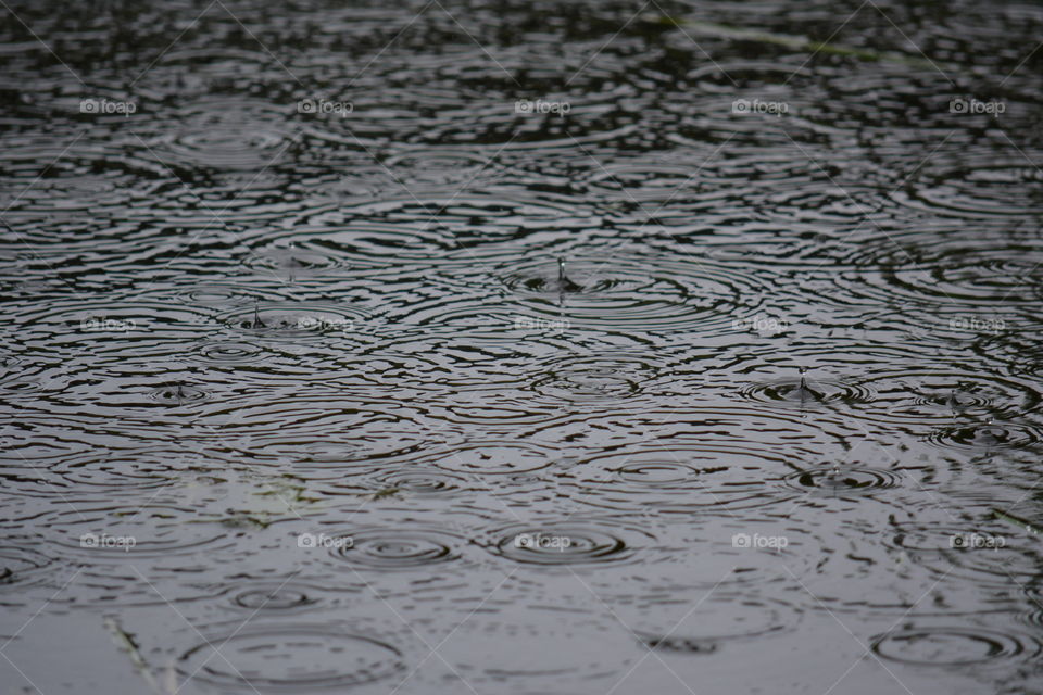 Reflection, Water, Desktop, Lake, Pool