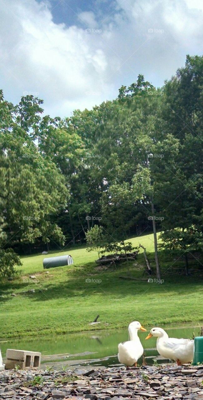 Just the 2 of us. pic up at the farm on July 20,2015 in Wantage, NJ