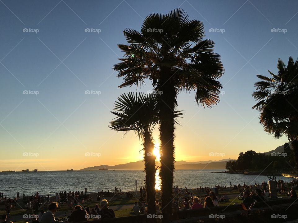 Palm trees on sunset 