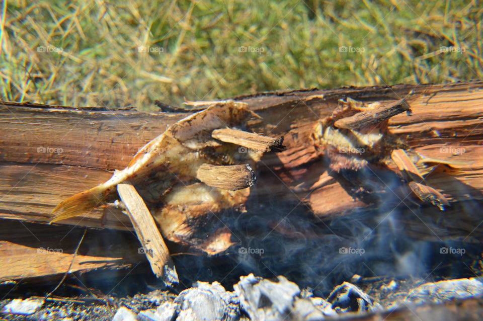 fried fish on the board