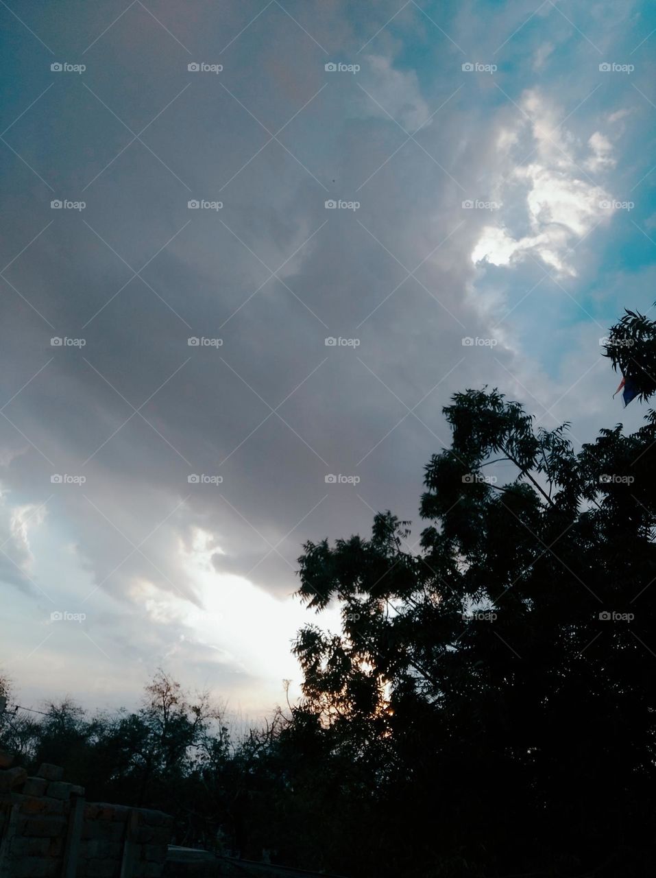 a darkish day,dark cloud white clouds in blue sky,dark plant, blue sky whitish cloud scattered