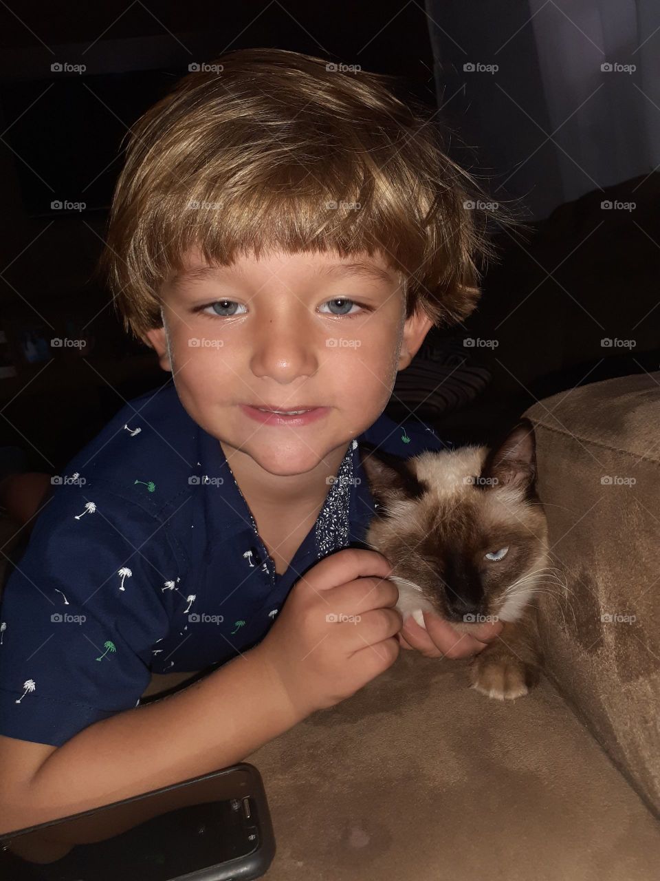 child playing with the kitten