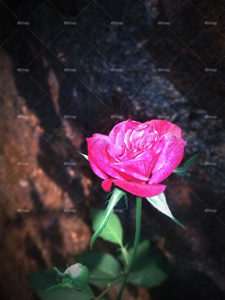 how much you like it? comment below.
if it suddenly stopped scrolling you down.