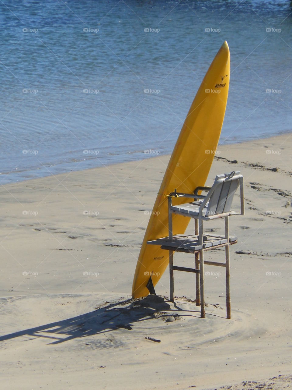 Stand up board. Beach scene