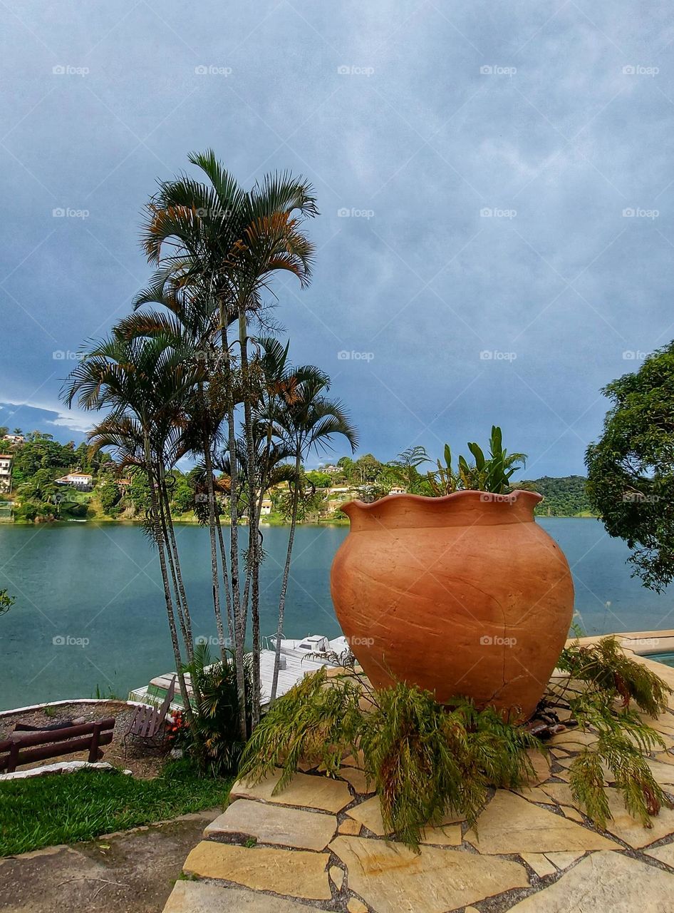 vaso, coqueiros e lagoa