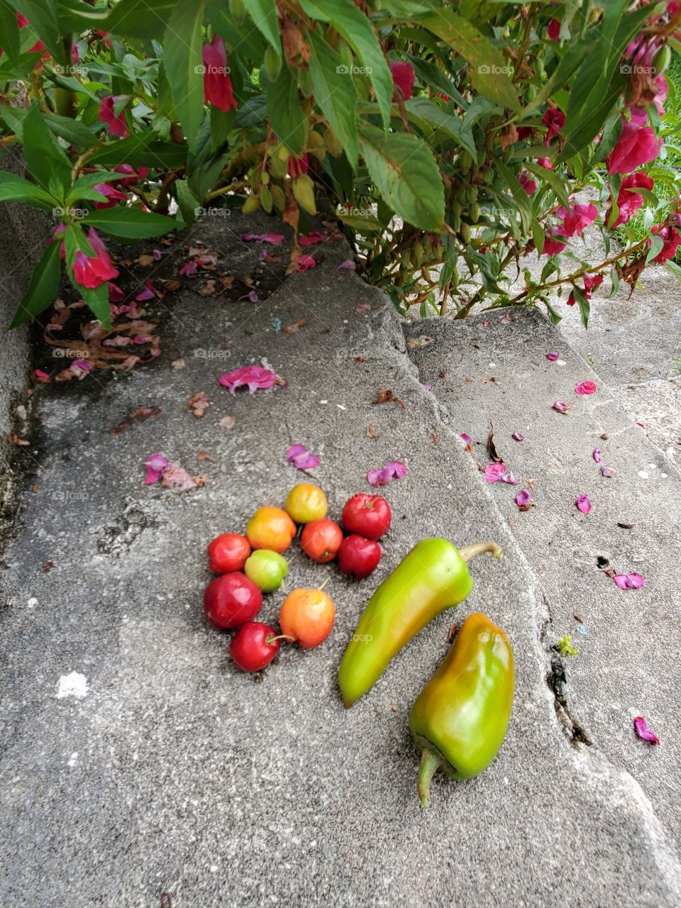 fruits and condiments