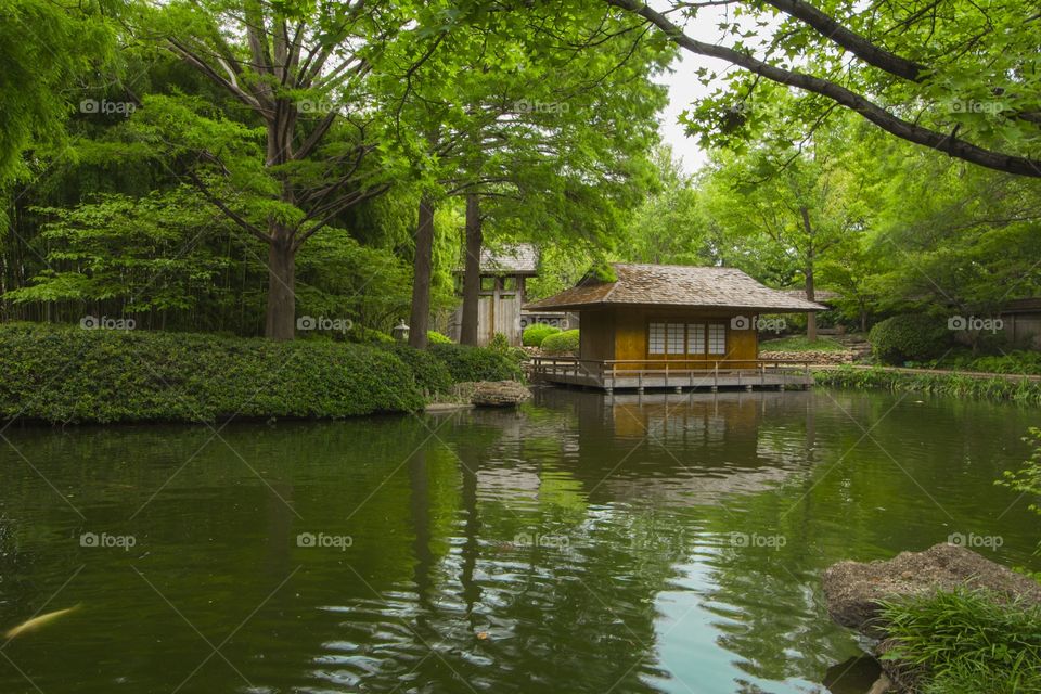 Japanese garden Fort Worth 