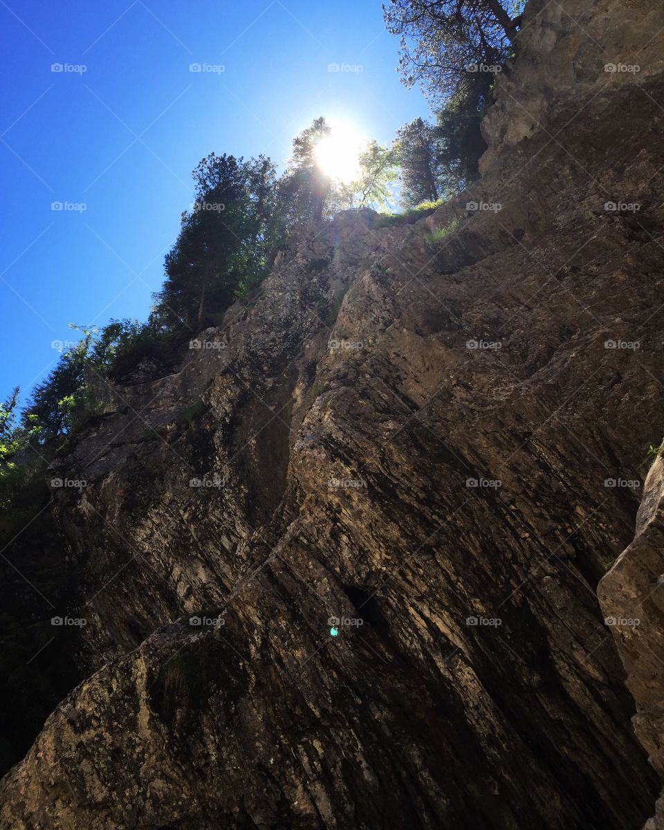 in the blue sky , the sun was shining bright sunlight through the trees by the steep cliffs