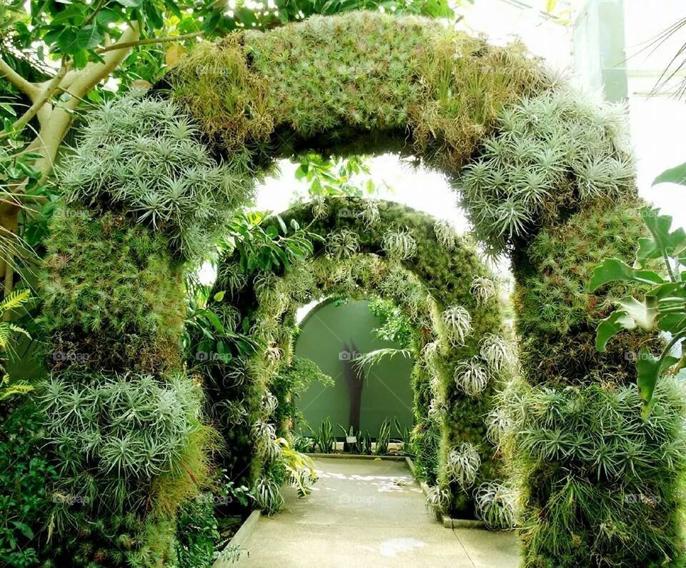 garden tunnel
