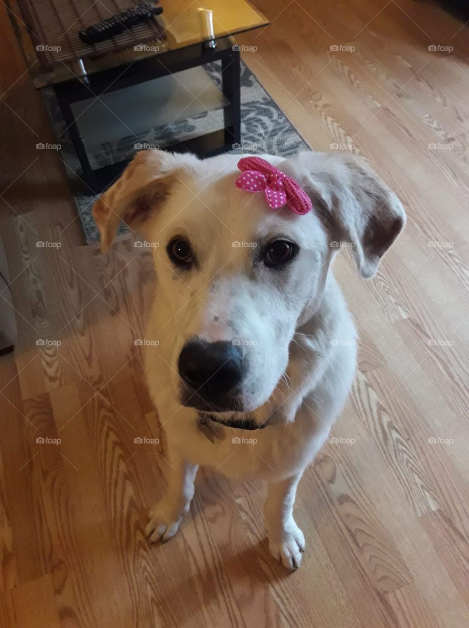 Hello!Do you think i am a boy or a girl?