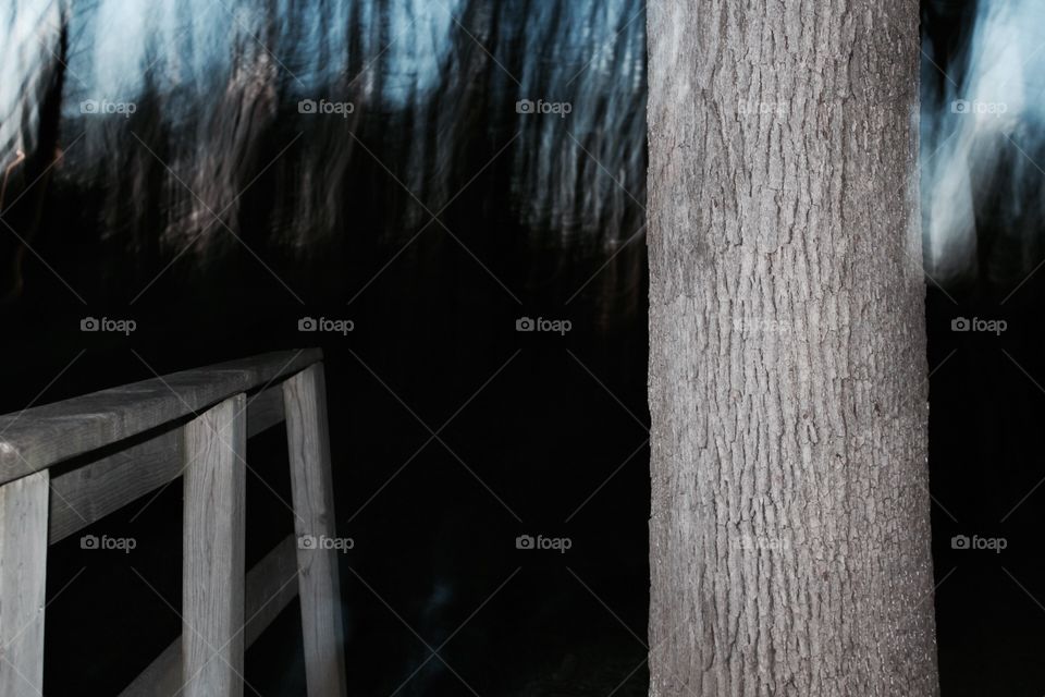 No Person, People, Wood, Landscape, Light