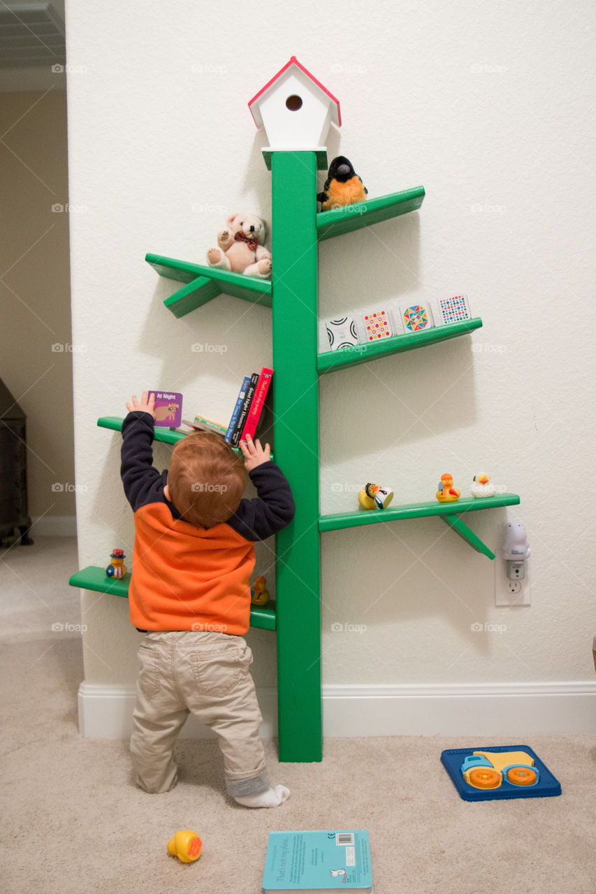 Playing on the bookshelf 