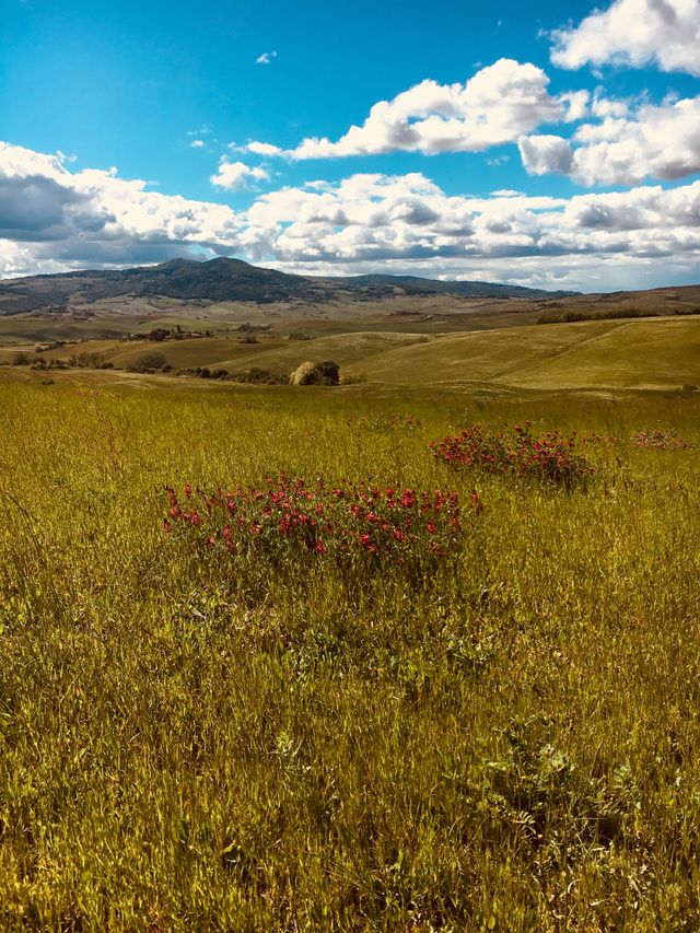 Campagna toscana 