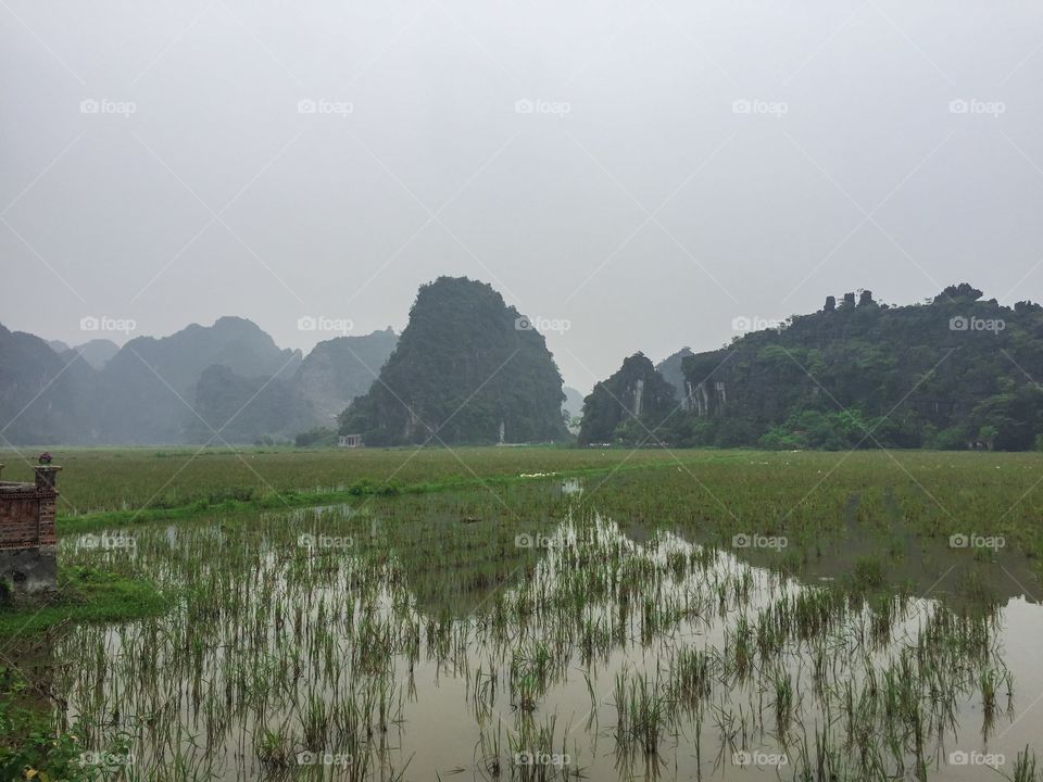 Ninh binh