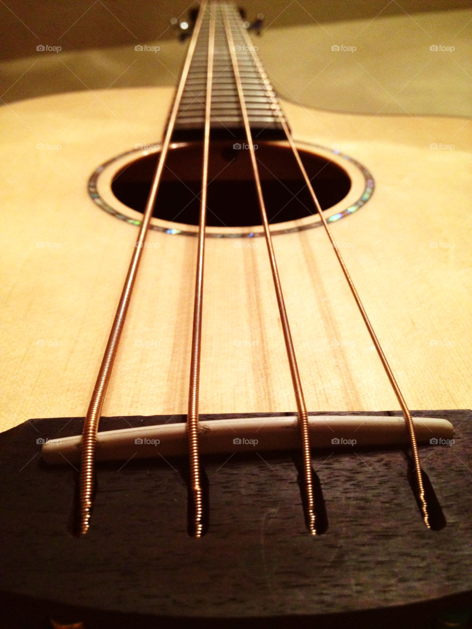 Down-Up look of an acoustic bass guitar.