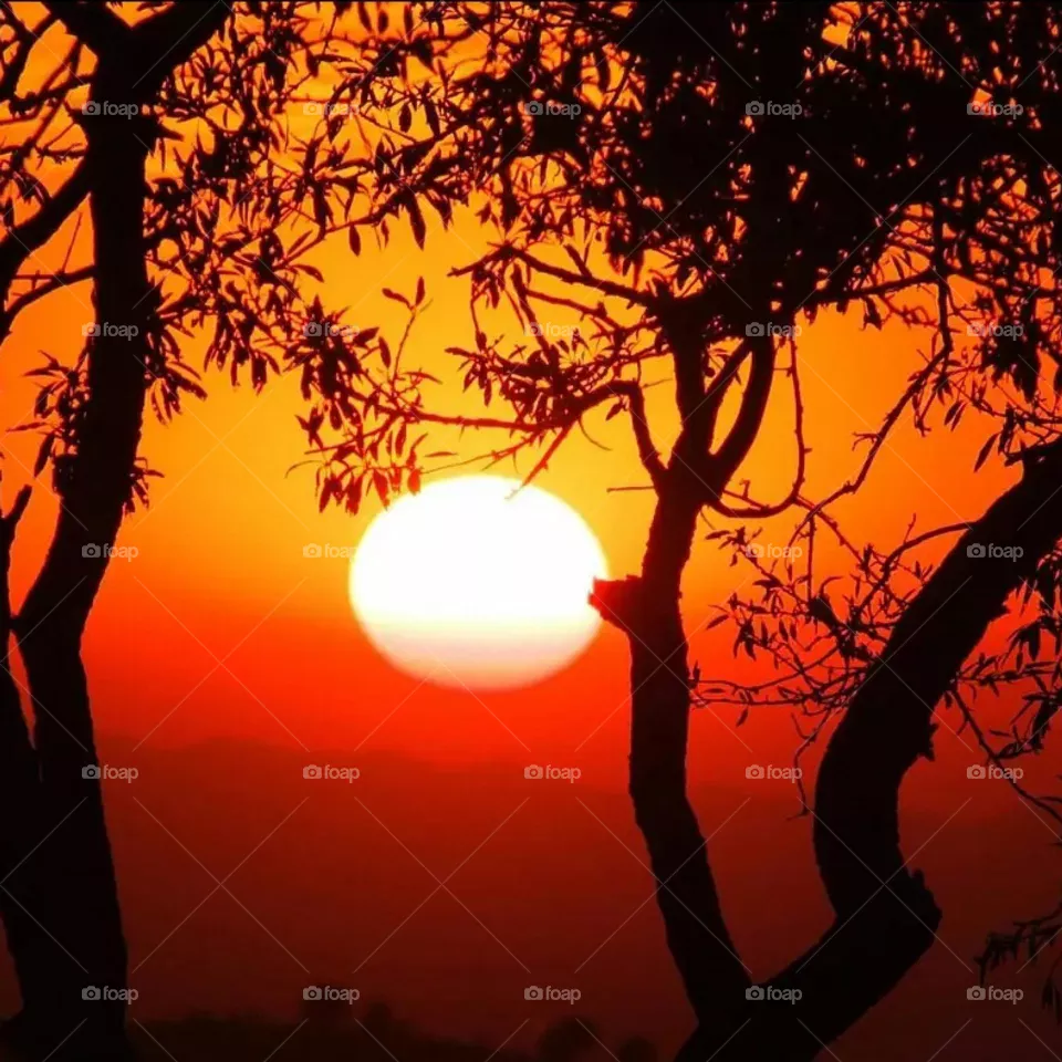 sunset