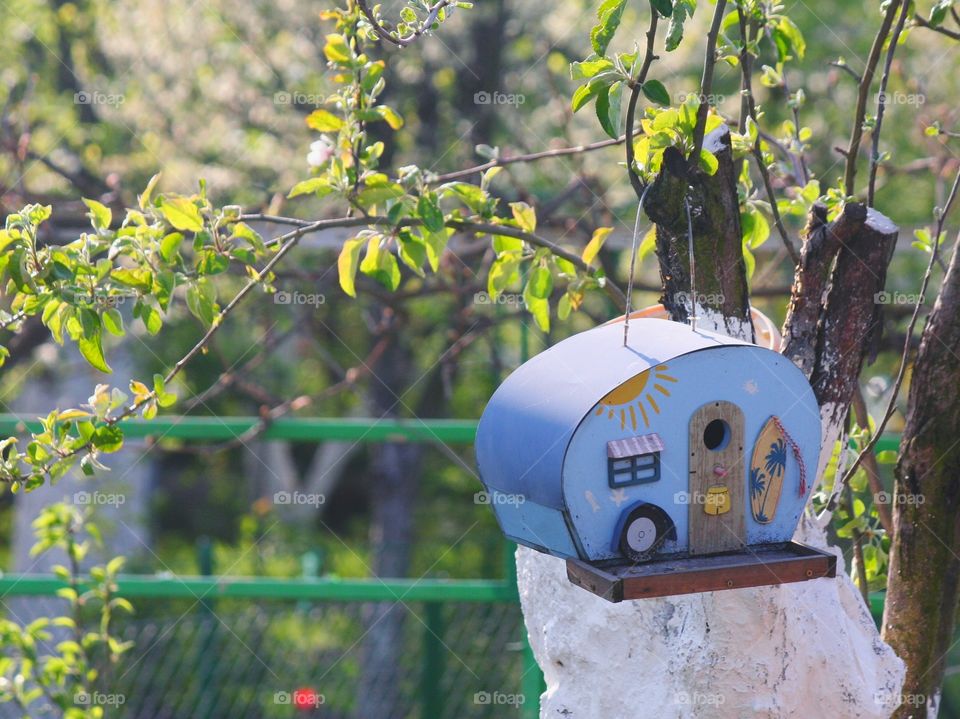 Forget about the traditional house - birds want a camper! 

(Whoever built this gorgeous thing, bless them!)