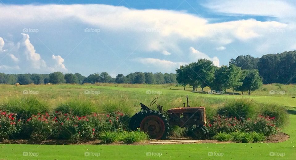 Summer Tractor