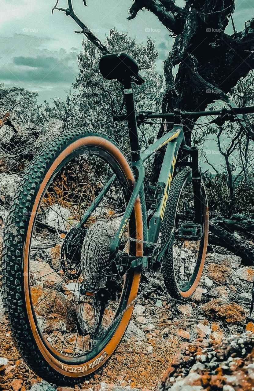 Amo ciclismo Brasil