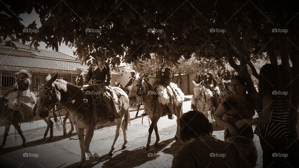Cavalos, touros e cavaleiros. Cavalgada nas ruas. Evento agropecuario tradicional comemorativo de aniversario da cidade. Cowboys e Cowgirls.