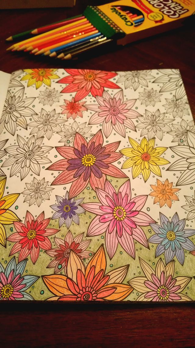 Work in Progress
