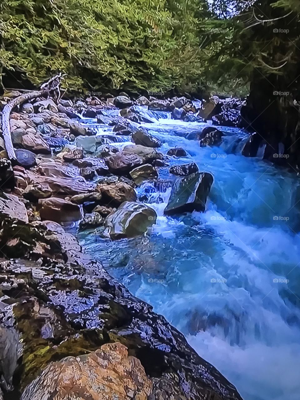 Beautiful water springs