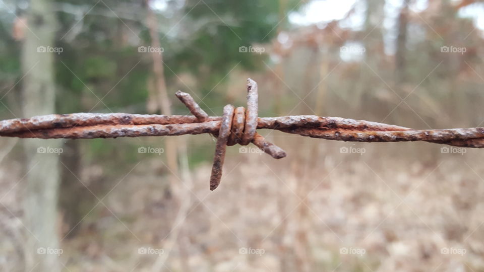 rusty barbed wire