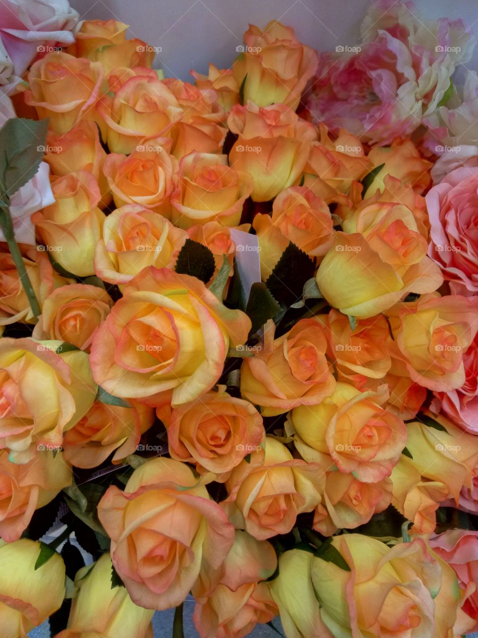 Flower, Bouquet, Floral, Rose, Petal