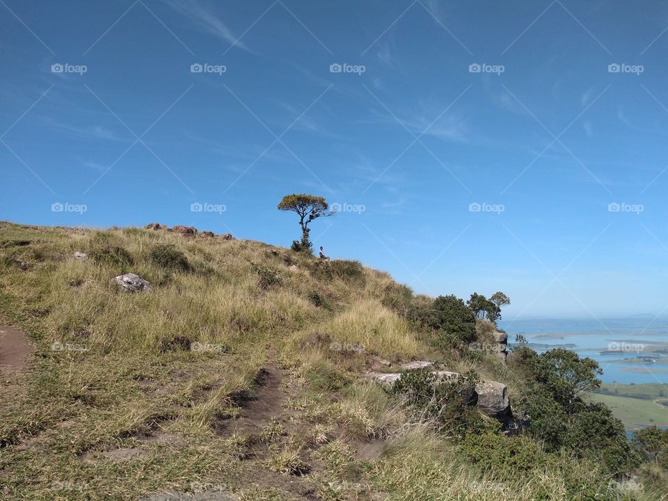 morro do gavião