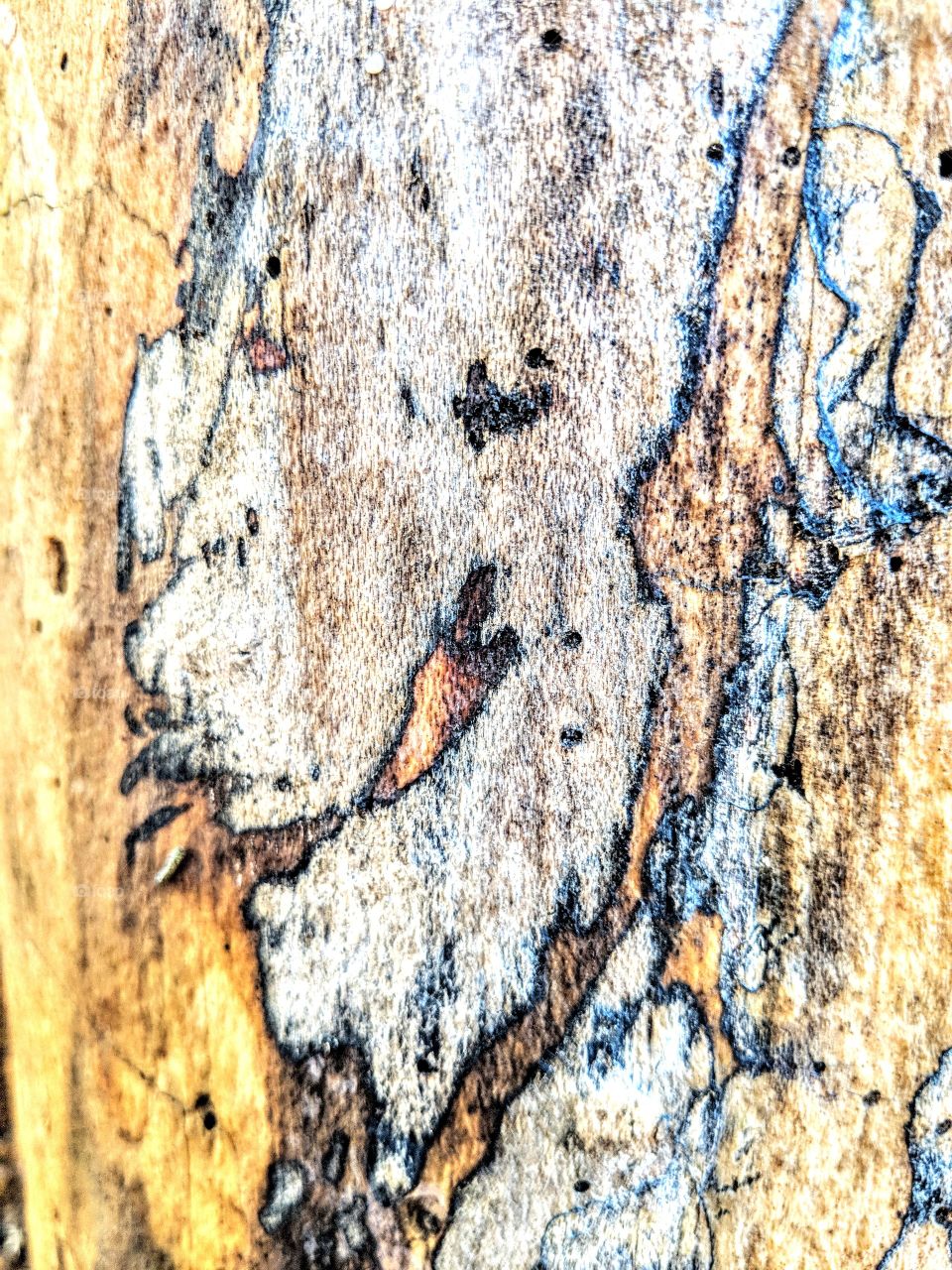 heart design on tree