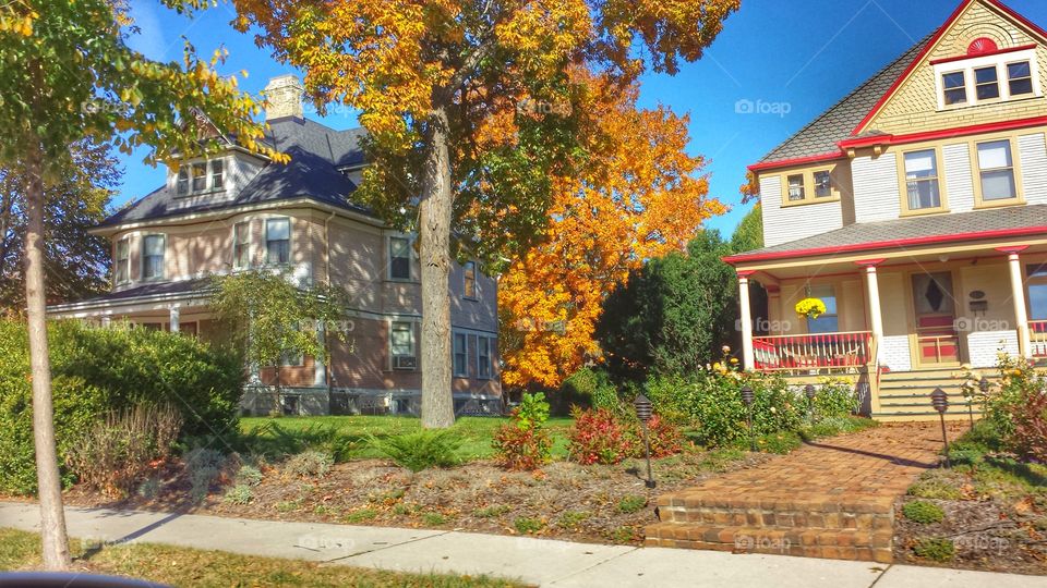 Colorful Houses