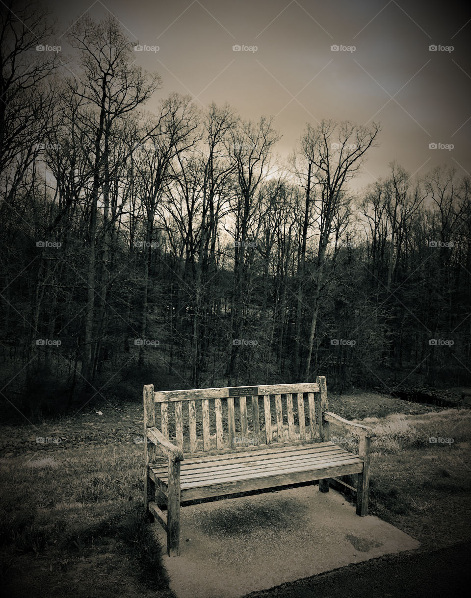 An empty bench for two