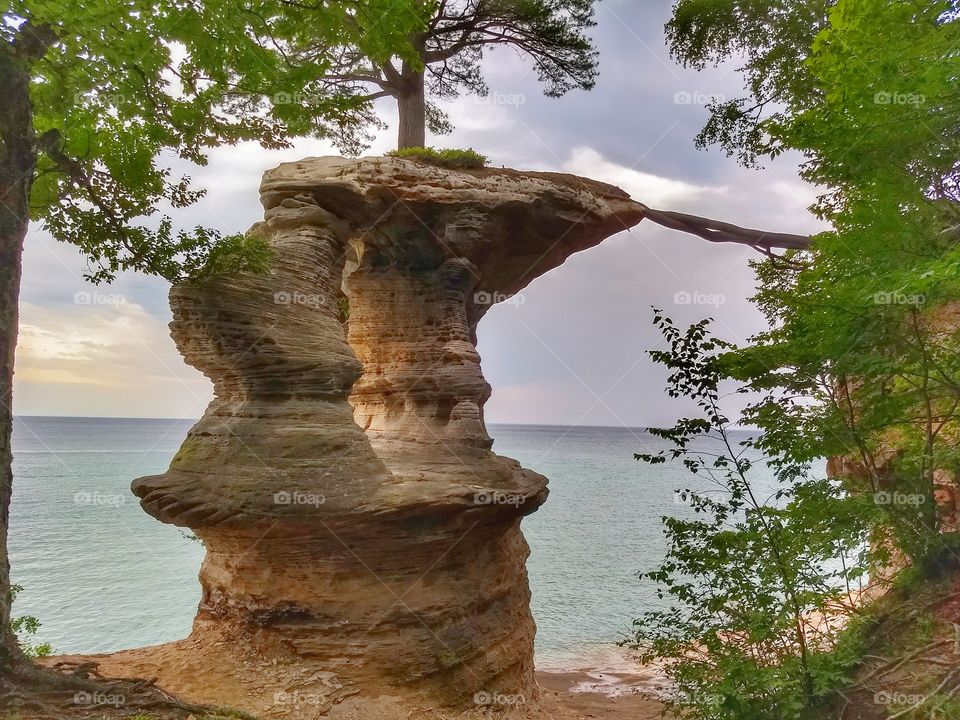 Chapel rock with roots