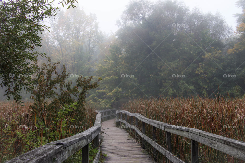 Foggy morning on a board walk